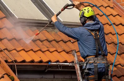 Démoussage et hydrofuge de toiture à Parmilieu